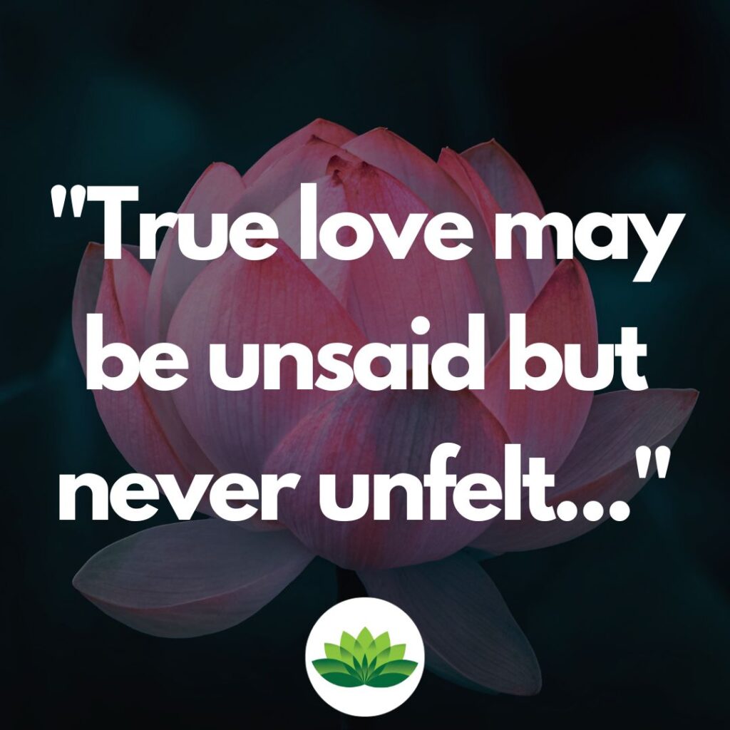 Quotes about love
